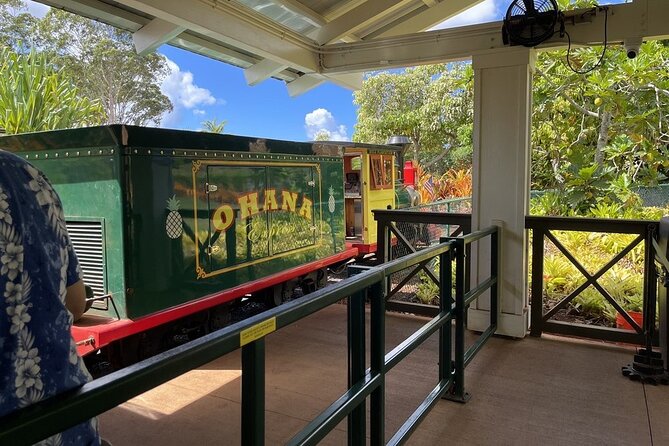 Turtle Snorkeling and Dole Plantation Guided Tour In Oahu - How the small group and live guide keep things from unraveling