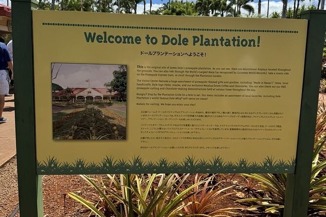 Turtle Snorkeling and Dole Plantation Guided Tour In Oahu - What $199 covers (and why it’s more than just a ticket)