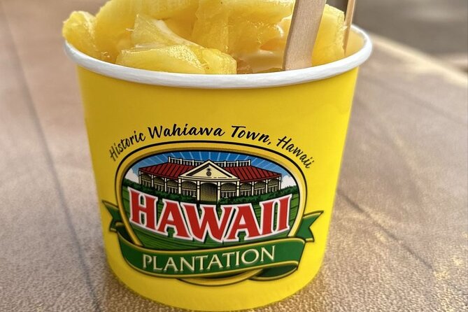 Turtle Snorkeling and Dole Plantation Guided Tour In Oahu - Who should book this tour (and who should skip it)