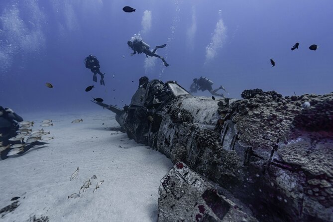 Two Tank Wreck and Drift Dive in Oahu - How the wreck-to-drift schedule actually plays out in Maunalua Bay