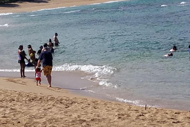 Ultimate Grand Oahu Circle Island Tour with Snorkeling and More - North Shore Stops: Waimea Valley, Sunset Beach, and Turtle Country