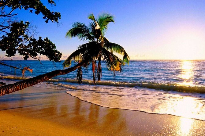 Ultimate North Shore Adventure: Full-Day Hawaiian Experience - The Route Feel: Coffee to Coast in a Small Group