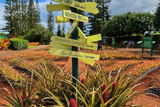 Ultimate North Shore Adventure: Full-Day Hawaiian Experience - North Shore Farm Access: Paddle, Turtles, and Food on Your Schedule