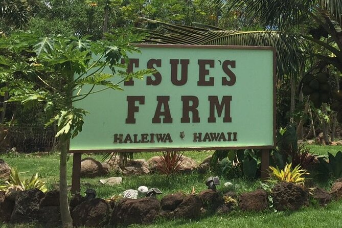 Ultimate North Shore Adventure: Full-Day Hawaiian Experience - Pickup and Timing: What 7:20am Means for Your Day