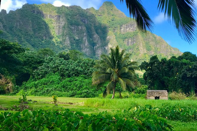 Uniquely Personalized Private Island Tour on Oahu, Hawaii - Private Oʻahu Time With a Guide and Your Own Plan