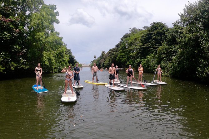 Uniquely Personalized Private Island Tour on Oahu, Hawaii - North Shore Choices: Sunset Beach, Waimea Valley Waterfalls, and Turtle Bay