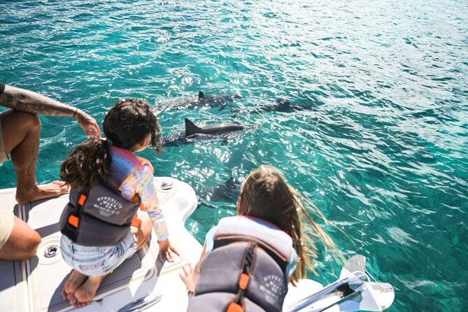 Venture Wildlife Snorkel Charter from Ko Olina - How the 2-hour outing actually plays out for you
