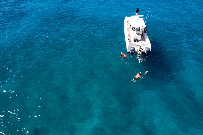 Venture Wildlife Snorkel Charter from Ko Olina - Comfort, logistics, and what to plan for at the marina