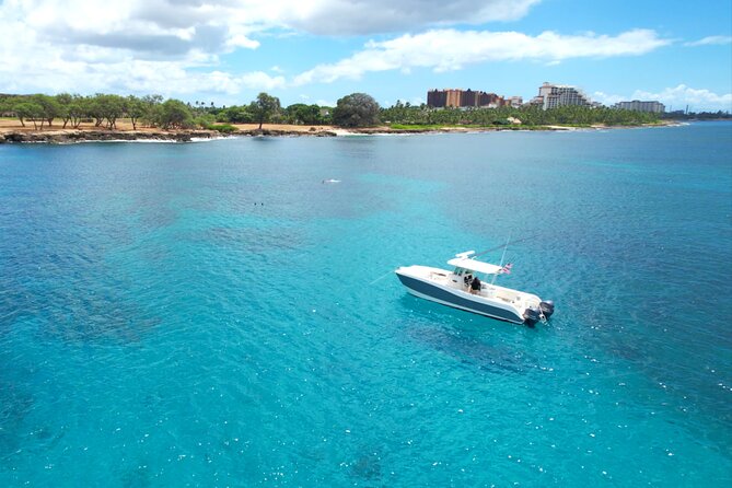 Venture Wildlife Snorkel Charter from Ko Olina - Who this private charter suits best (and who might look elsewhere)