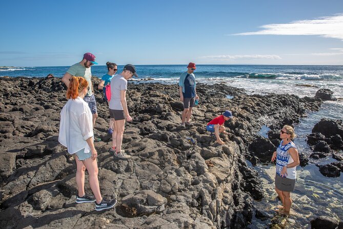 VIP Aloha Style Private Island Tour - Hālona Blowhole + Sandy Beach Park: Ocean Drama in Two Quick Stops