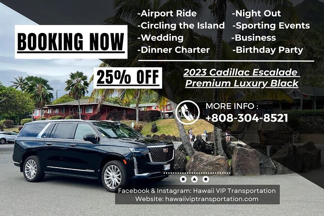 VIP Luxury Transfers: Honolulu Airport ↔ Waikiki ↔ Cruise Port - Meet & Greet, car seats, and lei: what’s extra vs included