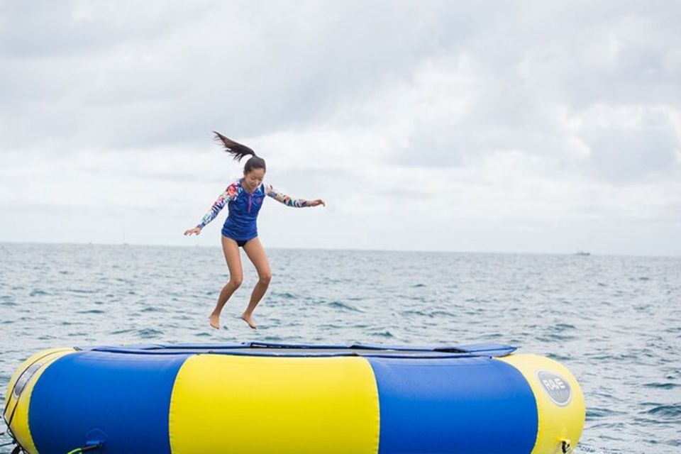 Waikiki: 5-in-1 Turtle Snorkeling Trip with Shuttle Option - How the 3-hour schedule plays in real life