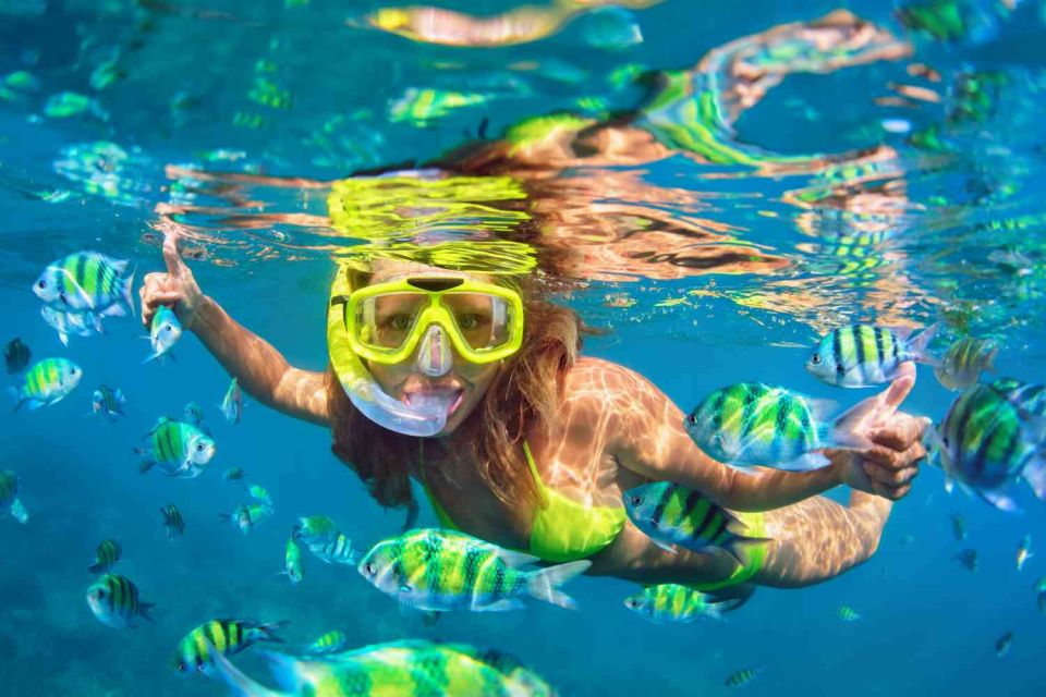 Waikiki: 5-in-1 Turtle Snorkeling Trip with Shuttle Option - What $115 gets you (and why it’s not just a snorkel tour)