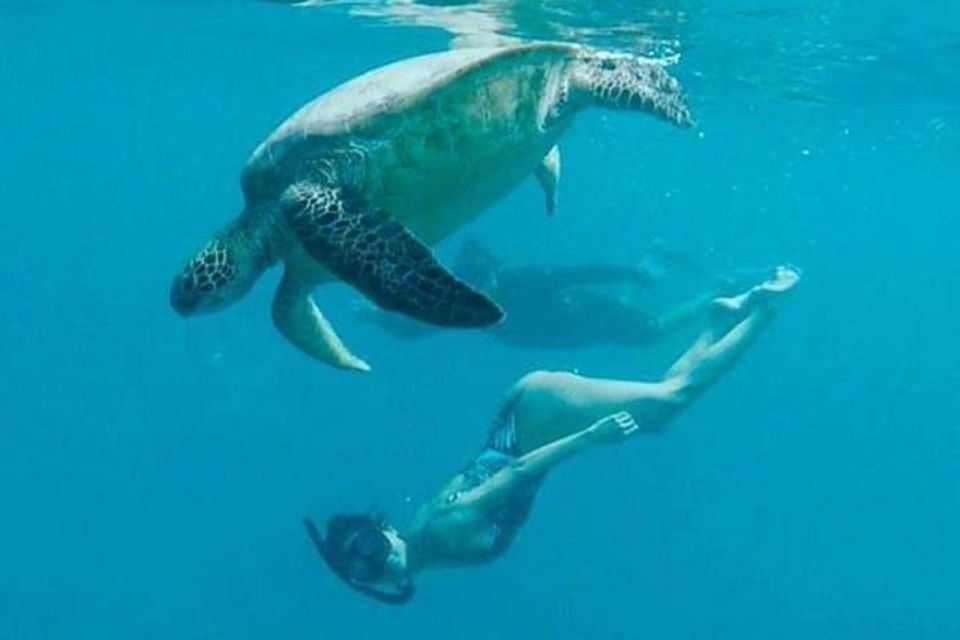 Waikiki Beach: Turtle Snorkeling and Sailing on Hāwea - Timing it right: how 2.5 hours feels in real life