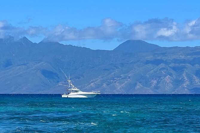 Waikiki Deep Sea Fishing Charter from Oahu - Meeting at Ala Moana: fast access, simple start