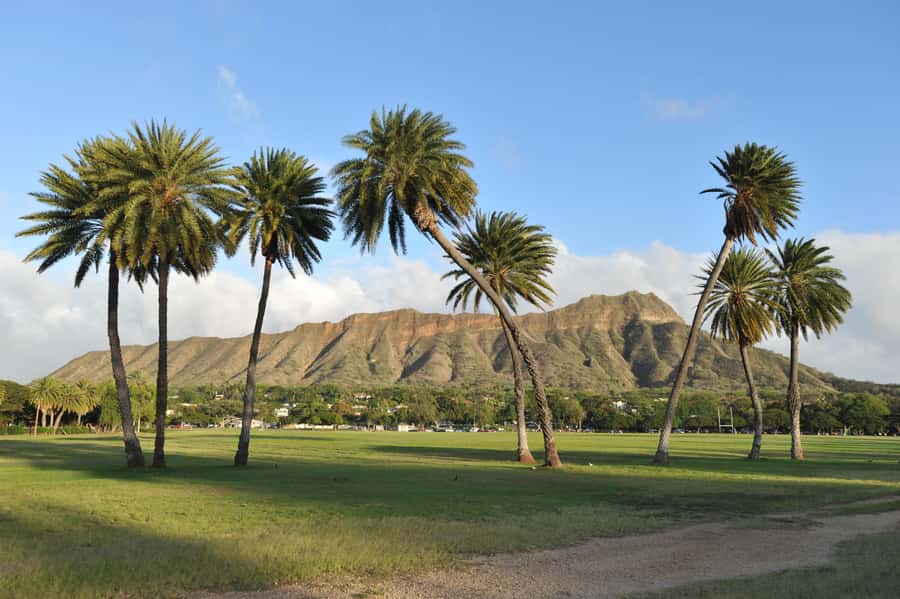Waikiki: Diamond Head Hiking/ Hiking Starts at 7:00am. - Key points before you go