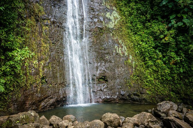 Waikiki Electric Bike Self Guided Tour- Manoa Falls Bike and Hike - What You’re Really Doing: E-Bike Up, Then a Short Falls Hike