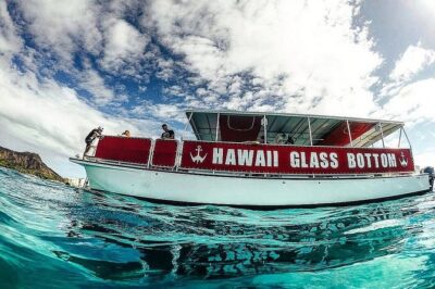 Waikiki Glass Bottom Boat Tour - Glass-bottom reality check: what you’ll see through the portals