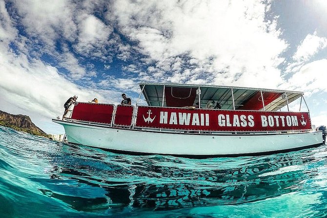 Waikiki Glass Bottom Boat Tour - Glass-bottom reality check: what you’ll see through the portals