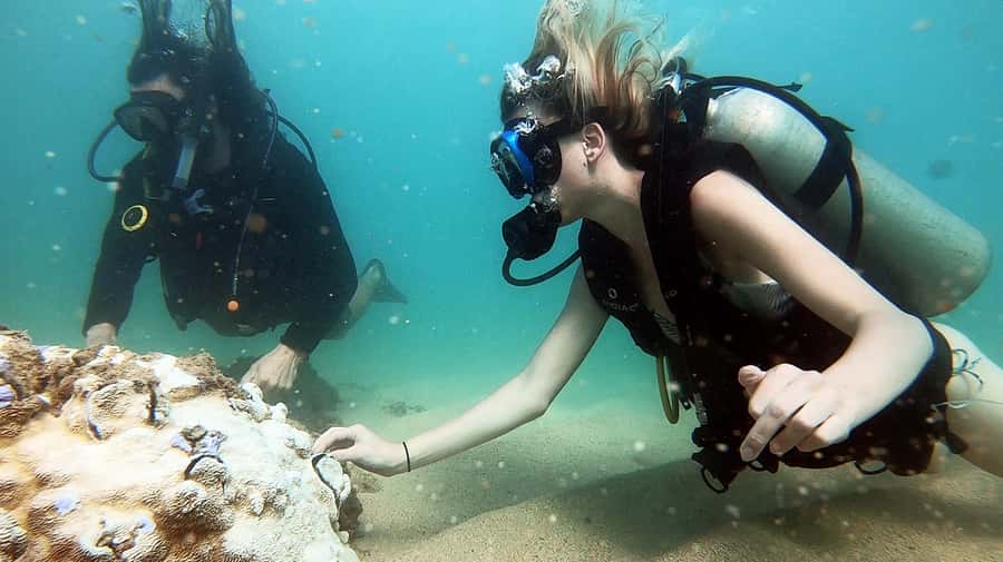 Waikiki: Honolulu Beginner Scuba Diving with Videos - The 10–15 minute shore briefing: where you’ll get your bearings fast