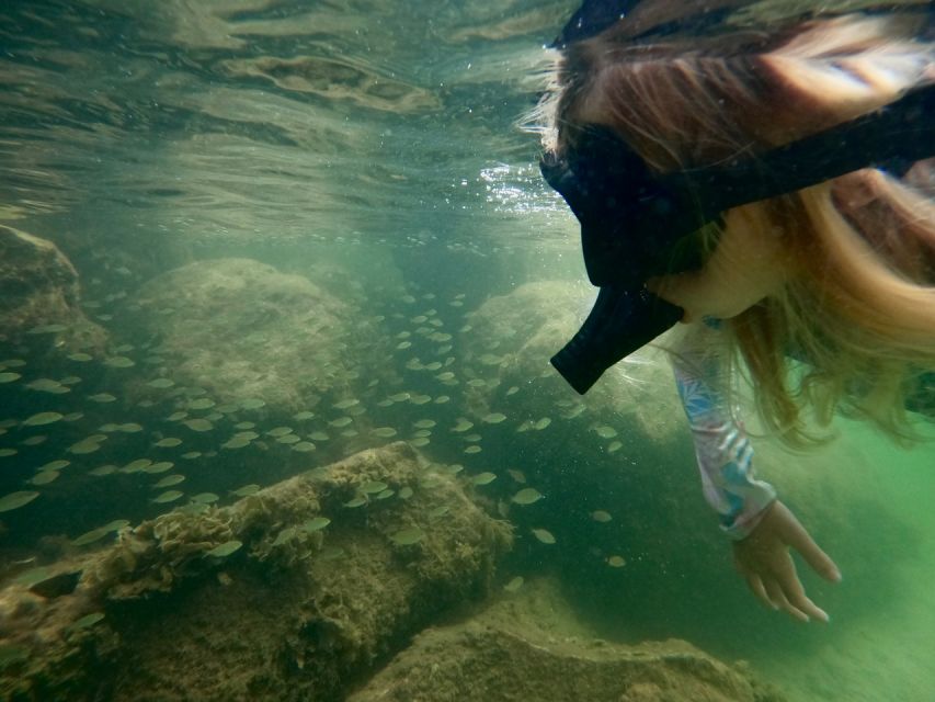 Waikiki: Honolulu Beginner Snorkeling Tour with Videos - Magic Island Lagoon: Waikiki’s smart start for first-timers