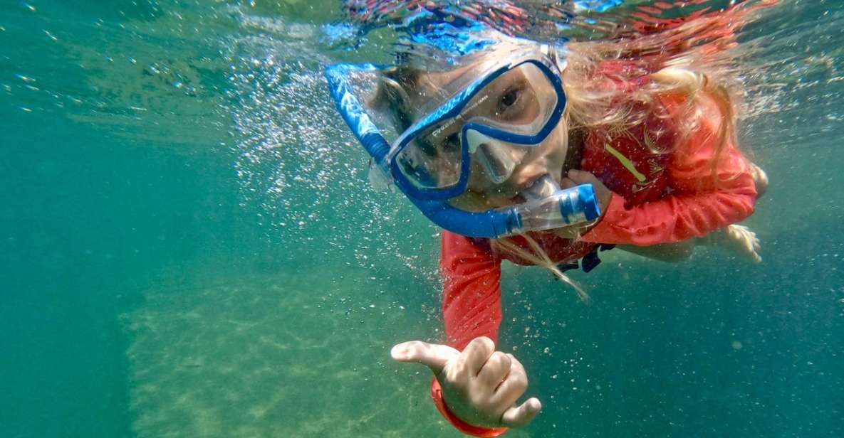 Waikiki: Honolulu Beginner Snorkeling Tour with Videos - The shallow-water briefing that makes beginners actually comfortable