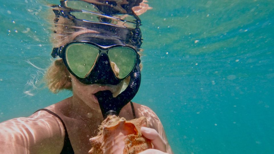 Waikiki: Honolulu Beginner Snorkeling Tour with Videos - What you might see under the surface (and why turtles aren’t guaranteed)