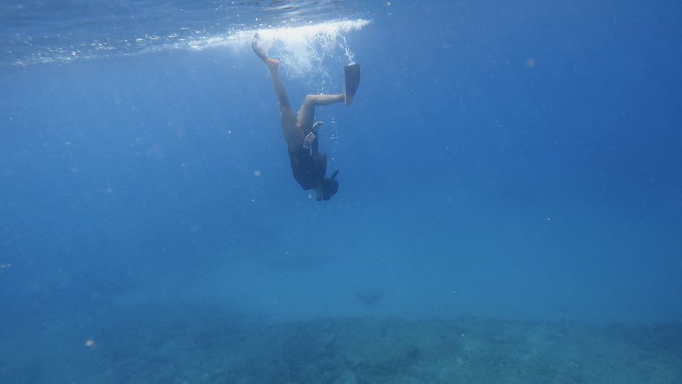 Waikiki: Honolulu Beginner Snorkeling Tour with Videos - From lifeguard tower check-in to equipment setup