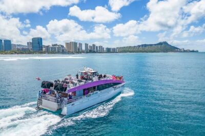 Waikiki, Oahu 2-Hour Whale Watching: Guaranteed Sightings - Winter Whale Watching on Oahu: December to April Expectations