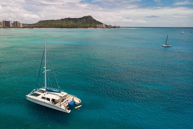Waikiki Panorama Sail: Search for Hawaiian Sea Turtles - The turtle search: how to actually watch for green sea turtles