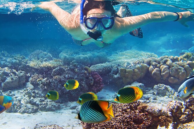 Waikiki Sail and Snorkel Adventure Best of Hawaii 2023 - Reef Snorkeling with Gear and Life Jackets Included