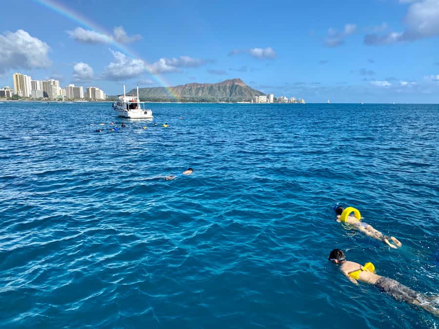 Waikiki: Sea Turtle Snorkeling, Small Group Boat Tour - Price and Value: $116 for Turtle Canyon Without the Big-Boat Chaos