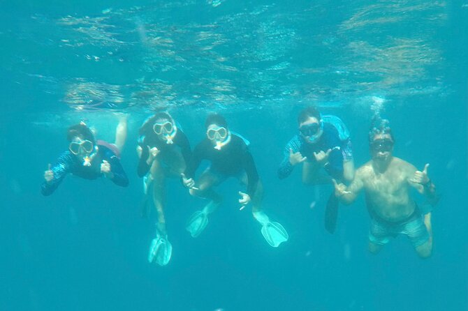 Waikiki small group turtle snorkeling & sailing - The Turtle Canyon Snorkel: How the Guide Helps You See Turtles