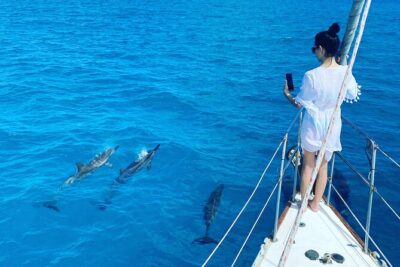 Waikiki small group turtle snorkeling & sailing - The 45-Foot Yacht and the Small-Group Advantage (6 Max)