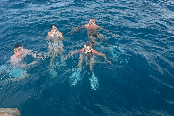 Waikiki small group turtle snorkeling & sailing - Snacks, Soda, and What to Bring (No Towels, No Sunscreen)