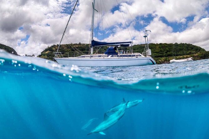 Waikiki small group turtle snorkeling & sailing - The Real Value of $99: Small Group Time, Not Just a Ticket