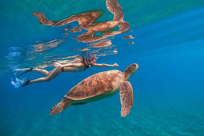 Waikiki Snorkeling Adventures with E Sea Diver! - Key Things I’d Bet Your Trip On