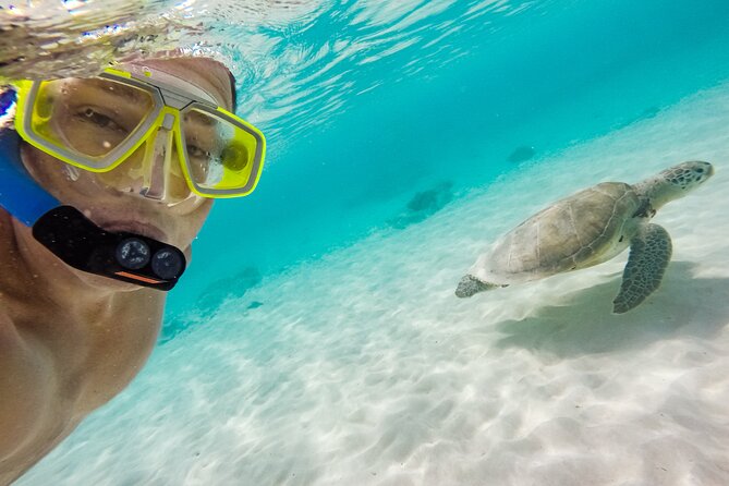 Waikiki Snorkeling Adventures with E Sea Diver! - The 20 Platform Jump: Fun, But Plan Your Comfort