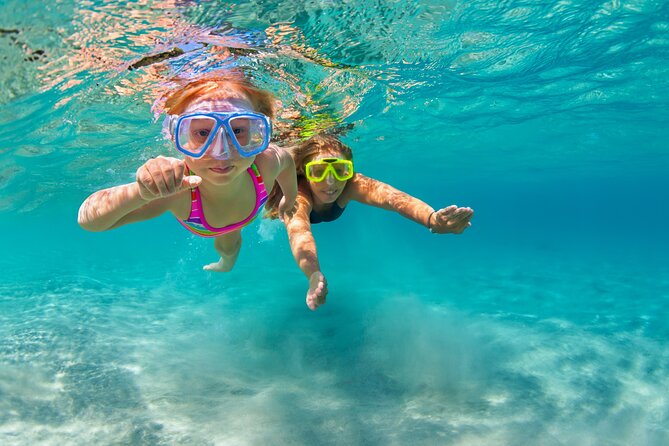 Waikiki Snorkeling Adventures with E Sea Diver! - Turtle Expectations: Why Some Days Feel Great And Some Don’t