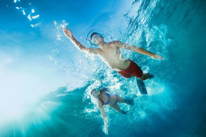 Waikiki Snorkeling Adventures with E Sea Diver! - What You’ll Eat, Drink, And Bring (No Glass)