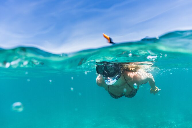 Waikiki Snorkeling Adventures with E Sea Diver! - Getting Value From a $69 Per Person Price Tag