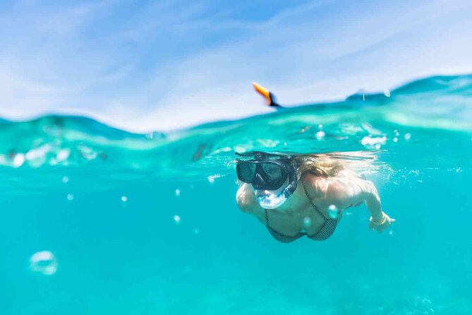 Waikiki Snorkeling Adventures with E Sea Diver! - What You Actually Do For Those 3 Hours