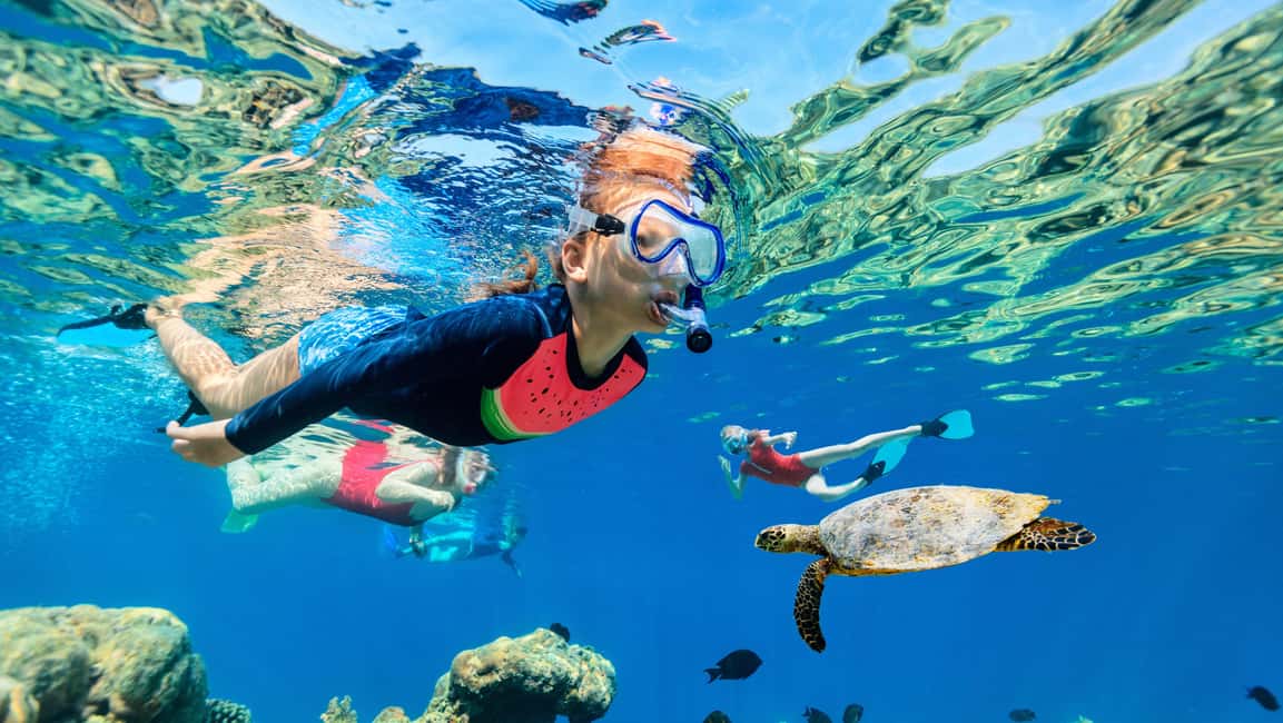 Waikiki: Snorkeling & Ocean Playground Experience - Snorkeling in Hawaiian Water: Gear, Marine Life, and Safety Focus