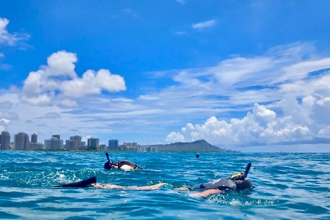 Waikiki Snorkeling & Ocean Waterpark Adventure from Oahu - Key points you’ll care about before you go