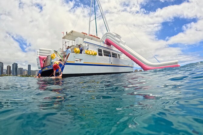 Waikiki Snorkeling & Ocean Waterpark Adventure from Oahu - Snorkeling reality check: turtle odds, fish odds, and water clarity