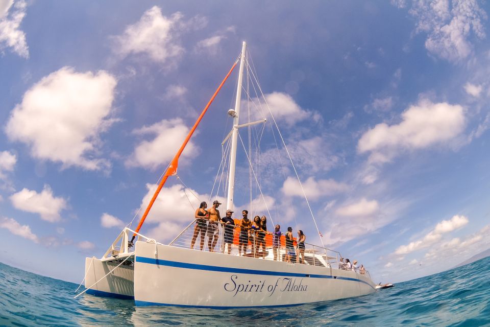 Waikiki Sunset Cocktail Cruise with Drinks and Appetizers - The Food: Bento-Style Dinner That’s Light, Not Heavy