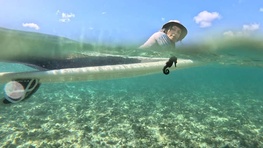 Waikiki: Surf Lessons Easy 60 min classes no crowds! - Gear, storage, and changing: the part people underestimate