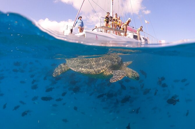 Waikiki: Turtle Canyon Snorkel - Crew and Safety: The Names That Keep Coming Up