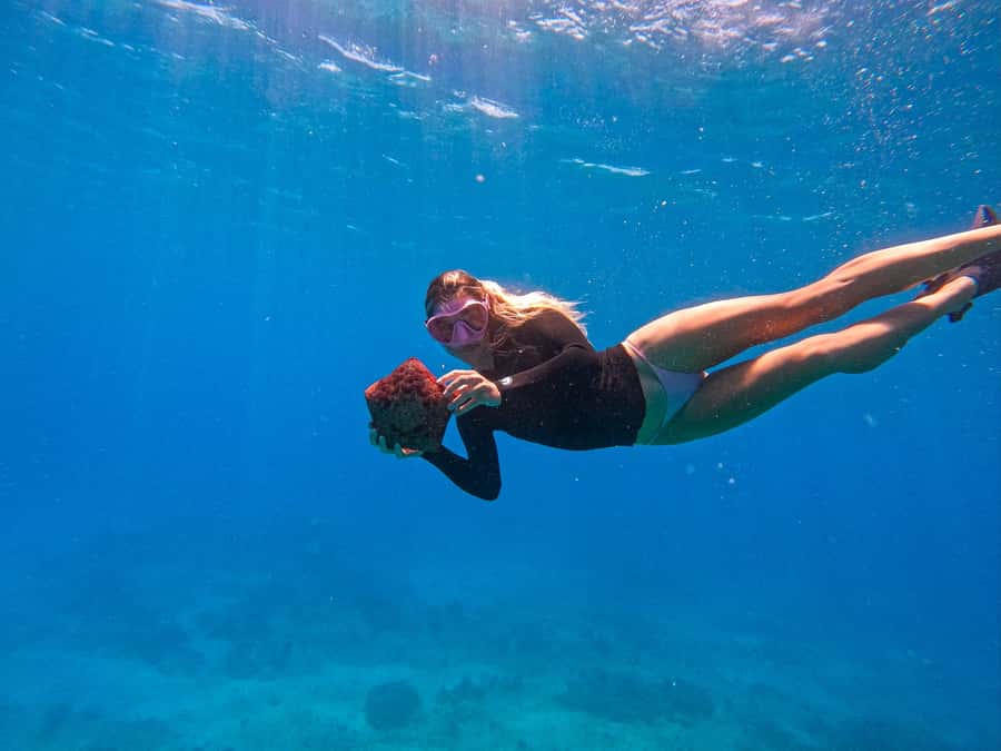 Waikiki: Turtle Canyon Snorkel Tour with Small Group - Why Turtle Canyon snorkeling is worth 90 minutes