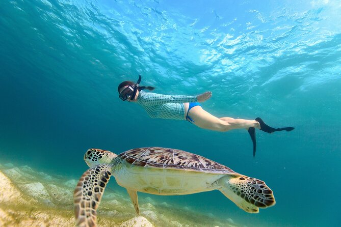 Waikiki Turtle Canyon Snorkeling Adventure - Key things that make this tour worth a look